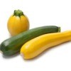 Canning Summer Squash and Zucchini 