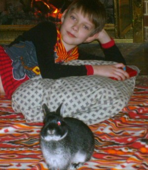 Licorice (Bunny)
