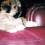 Dog on leather couch.