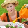 Tips for Watering Plants