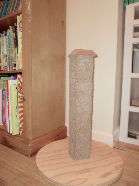 The new cat scratching post.