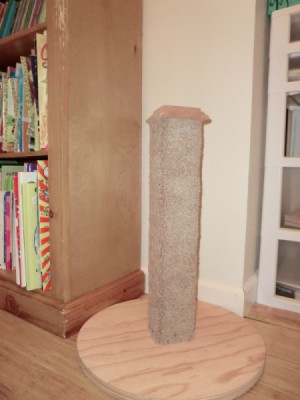 The new cat scratching post.