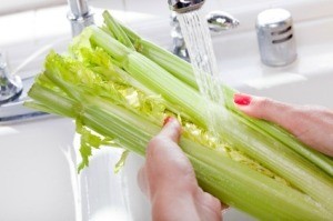 Buying Celery Tips
