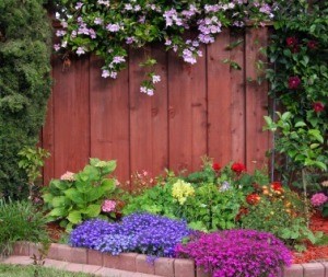 Ornamental Garden Border