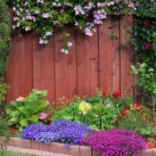 Ornamental Garden Border
