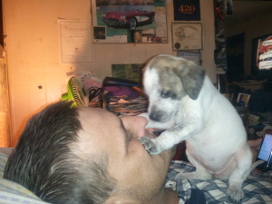 Man holding puppy up to his face.