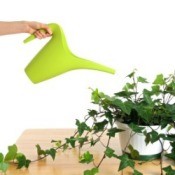 Watering Office Plant