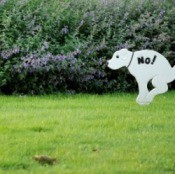A no dog pooping sign in someone's lawn.