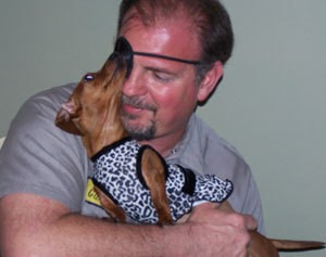 Misty (Mini Dachshund)