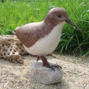 A wood carving of a Wester Sandpiper