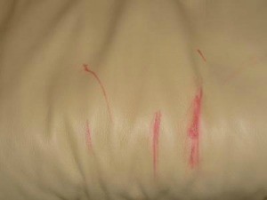 Sharpie Marker on Leather Couch