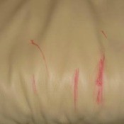 Sharpie Marker on Leather Couch