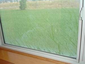 Hard Water Spots on Windows