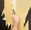 Man Removing Wallpaper