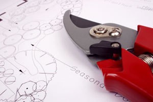Pruning Shears and Landscape PLan