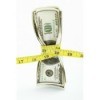 Single Income Living