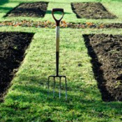 Sunken Garden Beds