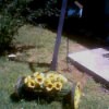 Push Mower as Lawn Decoration