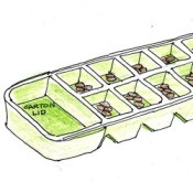 Mancala game board from an egg carton
