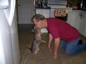 Man kissing cat.
