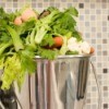 Composting Indoors