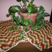 Crocheted placemats in Fall colors.