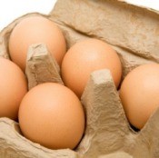 Storing Eggs