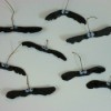 Crafts Using Maple Tree Seed Pods