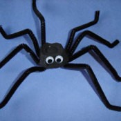 Section of egg carton and pipe cleaner spider.