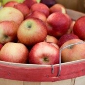 A bushel of apples