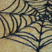 up close spiderweb