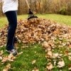 Raking Up Fall Leaves