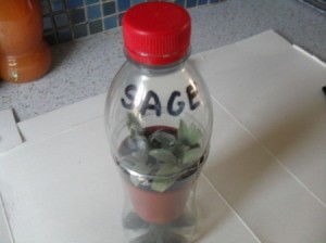 Bottle Propagator