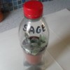 Bottle Propagator