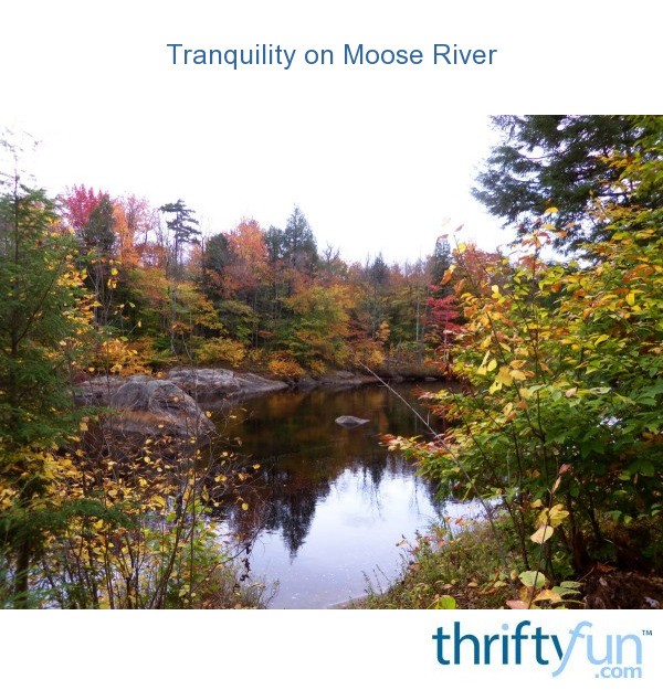 moose_river_fancy1.jpg