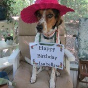 Ava with birthday card around neck.