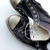 Canvas Sneakers