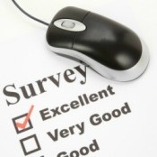 Computer Mouse and Survey