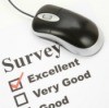 Computer Mouse and Survey