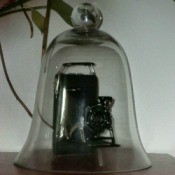 cloche over camera