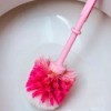 Removing Rust Stains from Toilets