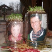 Chia spouting on bottoms up Mason jar, with photos inside.