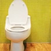Cloudy Toilet Water