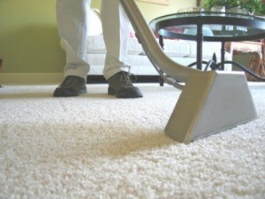 Pollen Stains on Carpet