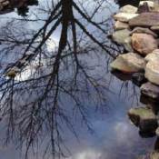 Preparing your pond for winter