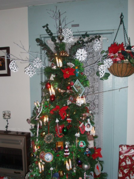 View of tree full length.