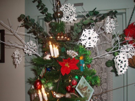 Closeup of top of tree.