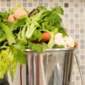 Kitchen Waste