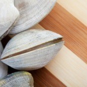 Shucking Clams
