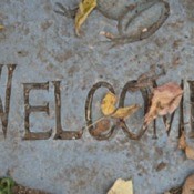 Concrete Patio Blocks